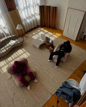 Ensemble de Jogging I NERVOZ